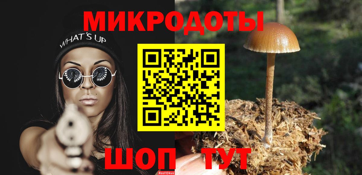 Галлюциногенные грибы MAGIC MUSHROOMS  Вход с VPN  Большой Камень 