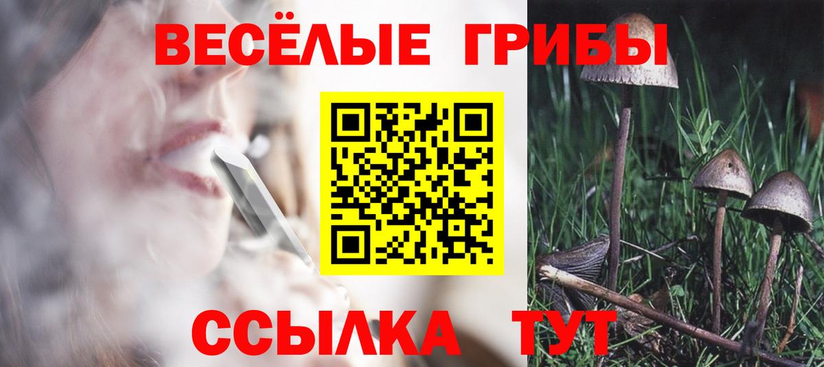 Псилоцибиновые грибы Psilocybe Большой Камень